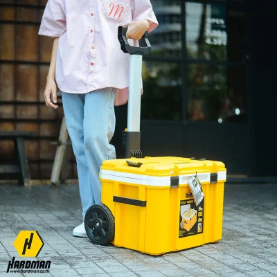 DeWALT DWST83281-1 DeWALT DWST83281-1