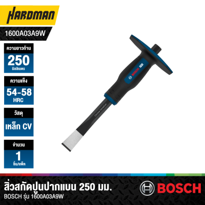 สิ่วสกัดปูนปากแบน 250 มม. BOSCH รุ่น 1600A03A9W