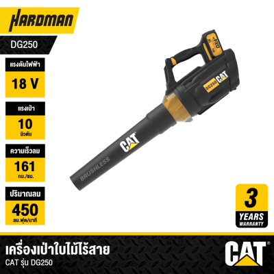 Cordless Leaf Blower – CAT DG250