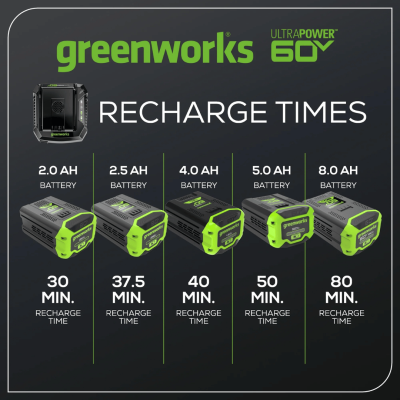 GREENWORKS CH60R00 60V Battery Charger