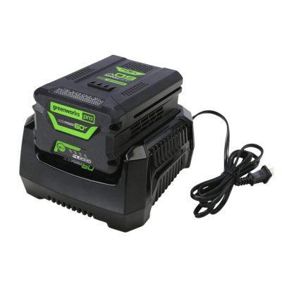 GREENWORKS CH60R00 60V Battery Charger