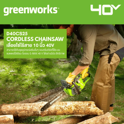 GREENWORKS D40CS25 10-Inch Cordless Chainsaw