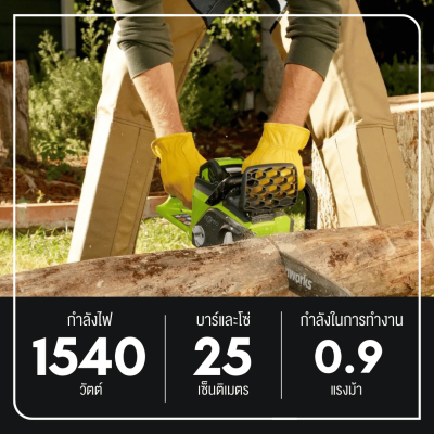 GREENWORKS D40CS25 10-Inch Cordless Chainsaw