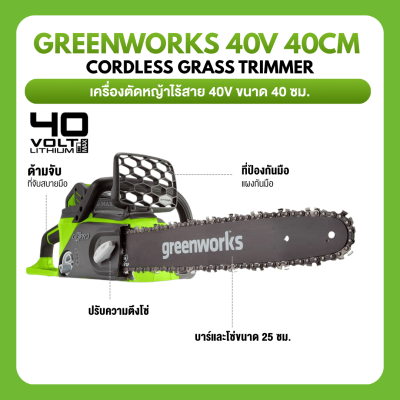 GREENWORKS D40CS25 10-Inch Cordless Chainsaw