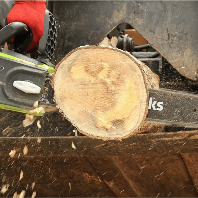 GREENWORKS D40CS25 10-Inch Cordless Chainsaw