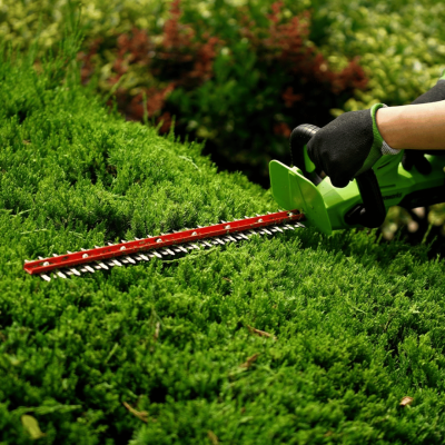 GREENWORKS G40HT61 Cordless Hedge Trimmer