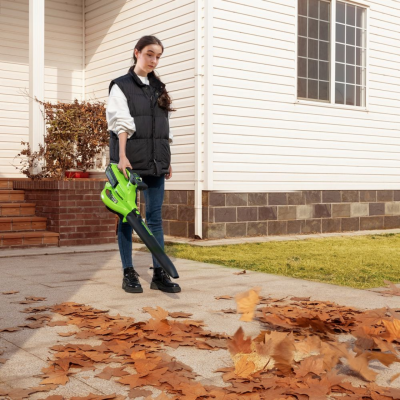 GREENWORKS GD40BVII Cordless Leaf Blower & Vacuum