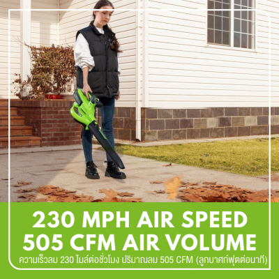 GREENWORKS GD40BVII Cordless Leaf Blower & Vacuum