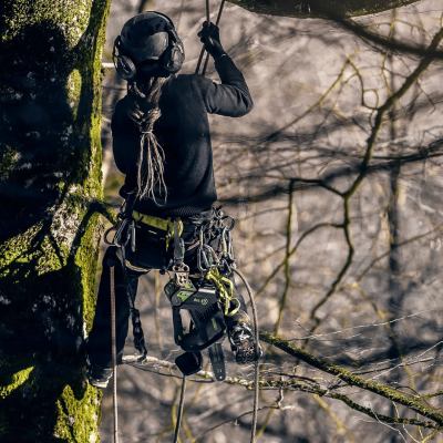 GREENWORKS GD40TCS 10-Inch Cordless Chainsaw