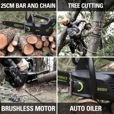 GREENWORKS GD40TCS 10-Inch Cordless Chainsaw
