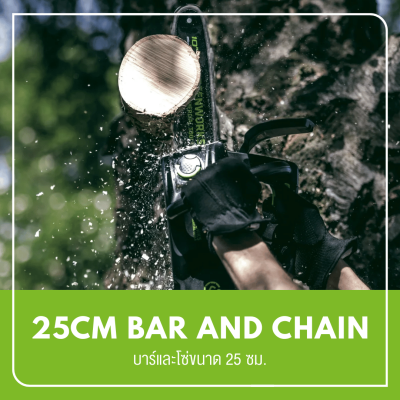 GREENWORKS GD40TCS 10-Inch Cordless Chainsaw