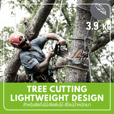 GREENWORKS GD40TCS 10-Inch Cordless Chainsaw