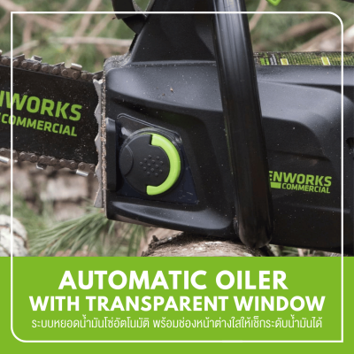 GREENWORKS GD40TCS 10-Inch Cordless Chainsaw