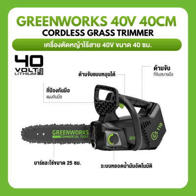 GREENWORKS GD40TCS 10-Inch Cordless Chainsaw