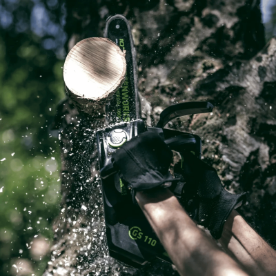 GREENWORKS GD40TCS 10-Inch Cordless Chainsaw