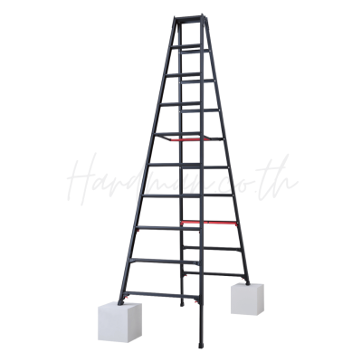 บันไดพับอเนกประสงค์ 10 ขั้น HASEGAWA รุ่น RYRB-30 (สีดำ)