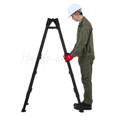 บันไดพับอเนกประสงค์ 10 ขั้น HASEGAWA รุ่น RYRB-30 (สีดำ)