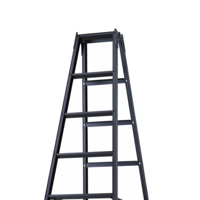 บันไดอเนกประสงค์ 10 ขั้น HASEGAWA รุ่น RYZB-30a