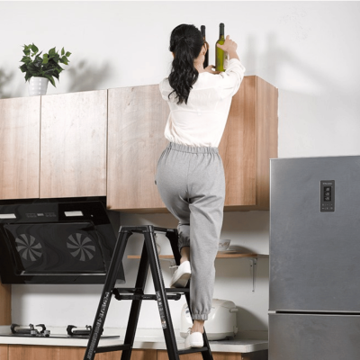 บันไดอะลูมิเนียม 2 ขั้น HASEGAWA รุ่น RZB-06b