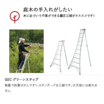 บันไดอลูมิเนียม 3 ขา HASEGAWA รุ่น GSC-90a