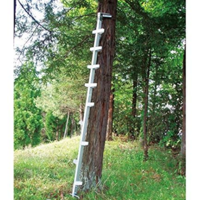 Extension Ladder for Pruning Trees HASEGAWA EH-30