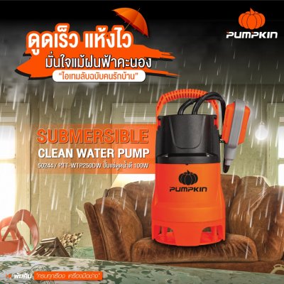 ปั๊มแช่ดูดน้ำเสีย 250 วัตต์ PUMPKIN รุ่น 50244/PTT-WTP250DW ปั๊มแช่ดูดน้ำเสีย 250 วัตต์ PUMPKIN รุ่น 50244/PTT-WTP250DW