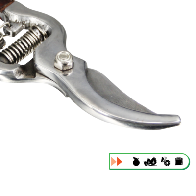 กรรไกรตัดกิ่งไม้ 8.5 นิ้ว PUMPKIN รุ่น 33513/PTT-220 กรรไกรตัดกิ่งไม้ 8.5 นิ้ว PUMPKIN รุ่น 33513/PTT-220