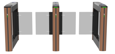 Saturn Plus