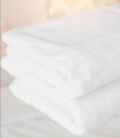 towel  1 dozen