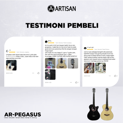 ARTISAN Gitar Akustik Tanam Besi ( AR - PEGASUS ) Senar 6 String
