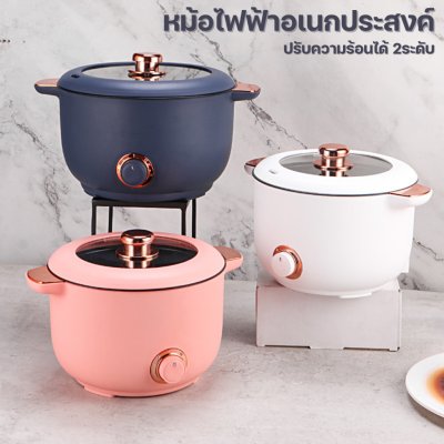Multi-purpose electric pot