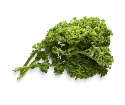 Kale Powder