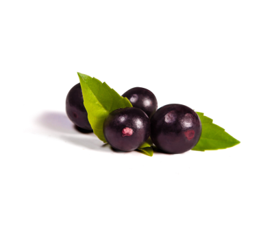 Acai berry extract 5 %