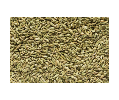 Fenel seed extract