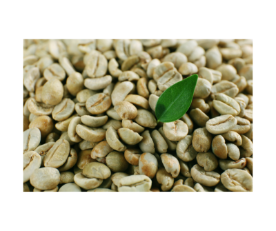 Green coffee bean extract