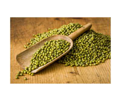 Mung Bean Protein