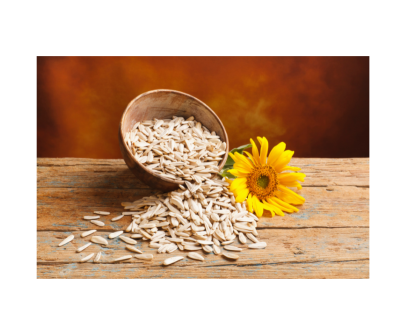 Sunflower Seed Protein
