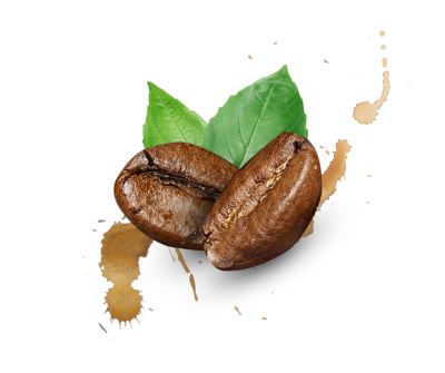 Instant Coffee Powder (Malaysia)