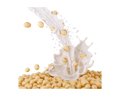 Soy Milk Powder