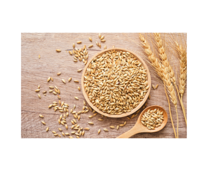Dried Malt Extract LDME 30