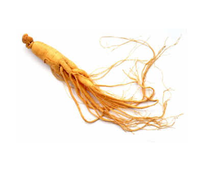 Ginseng extract (white ginseng, red ginseng)