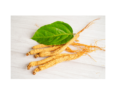 American ginseng root extract