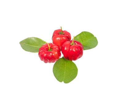 Acerola extract