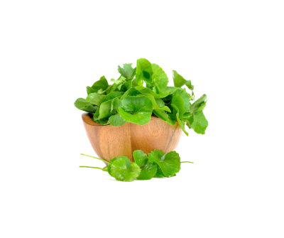 Centella asiatica extract