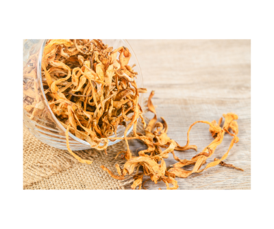 Cordyceps militaris extract