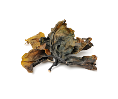 Kelp extract