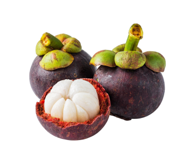 Mangosteen extract