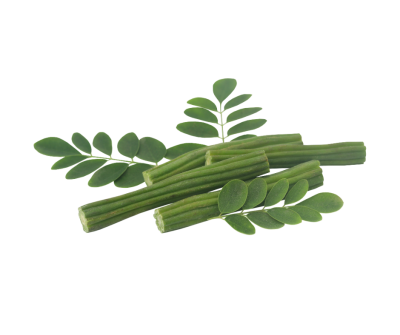 Moringa leaf extract