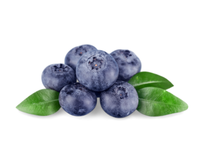 Blueberry extract