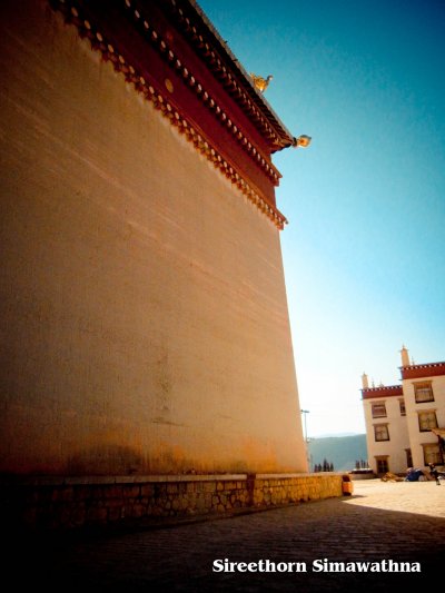 (九) Tibetan Culture 